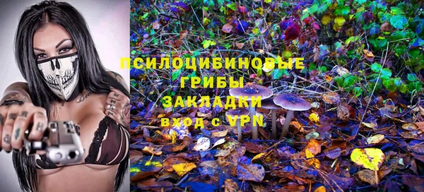 гашиш Богданович