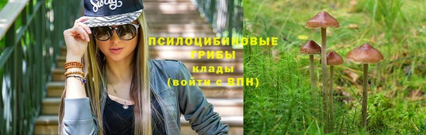 СК Белокуриха